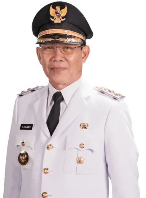 Ir. Rusmadi Wongso, M.S., Ph.D.